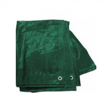 Toldo Polietileno Verde 2x3m 120 gr.