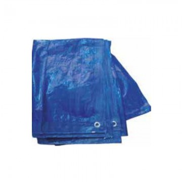 Toldo polietileno 2x3m 80 gr.