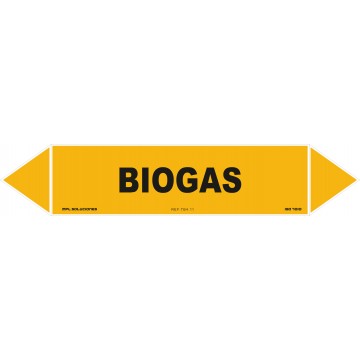 Biogás
